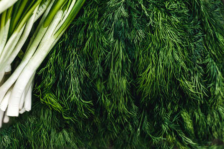 Green onions and parsley on the table closeupの写真素材