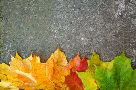 background of autumn leaves. Autumn backgroundの写真素材