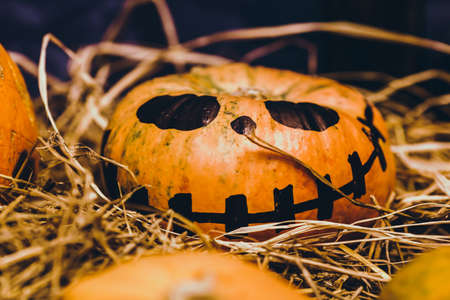 Happy halloween Carving pumpkin on the table in the home. Happy family preparing for Halloween.の写真素材