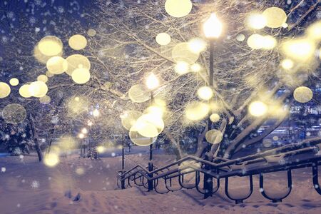 Xmas landscape. Christmas background. There comes a new year. Christmas in the winter night park....