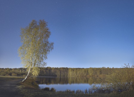 Night landscape of a tree on the shore of a forest lake against the background of the starry sky. Summer night on the river with a beautiful nature in the fresh air with a white birch on the shore of the lake and stars in the night sky.の写真素材