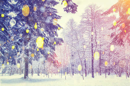 Christmas Background. Color snowflakes on winter forest background. Snowfall in forest. Bright...