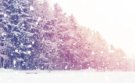 Snowfall in winter forest. Xmas scene. Landscape of frosty winter with snowflakes. Christmas and New...