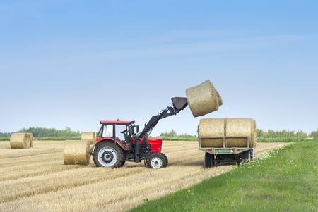 Harvesting of agricultural machinery. The tractor loads bales of hay on the machine after harvesting...
