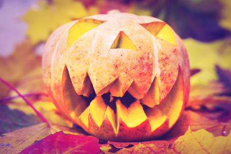 Halloween pumpkin lantern with dry leaves with autumn backgroundの写真素材