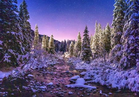 Night winter nature landscape. Starry sky over snowy fir trees in mountains. Alpine winter landscape. Christmas holiday background.の写真素材