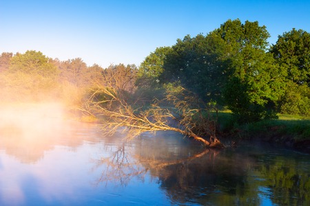 Spring nature in morning sunlight. Spring scene with mist over river. Nature landscape.