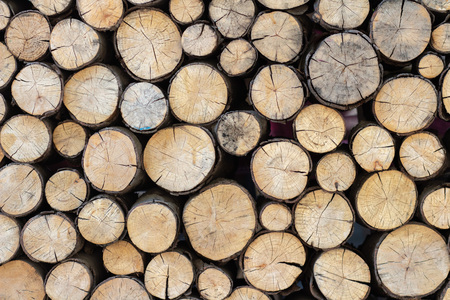 piled tree trunks. Sawn timber wood
