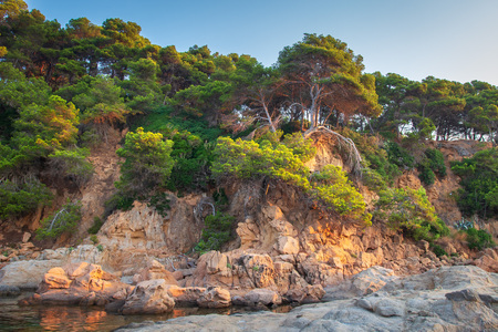 Costa Brava coast on mediterranean sea beach. Rocky high shore with green forest on coastline in Spainの写真素材