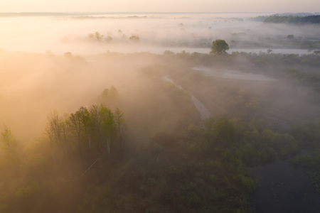 Scenic summer foggy nature from above. Aerial view on river shore with trees in sunshine. Nature landscapeの写真素材