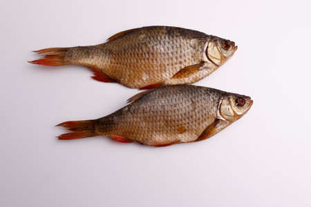 Dried fish isolated on white background.の写真素材