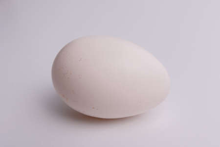 Egg isolated on white backgroundの写真素材