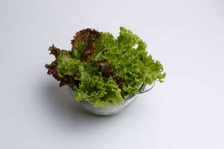 Fresh lettuce in glass plate isolated on whiteの写真素材
