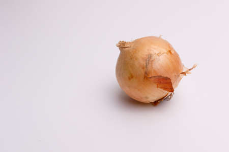 One yellow onion isolated on white background cutout