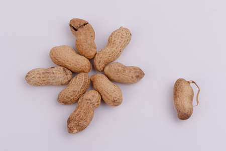 Dried peanuts in closeupの写真素材