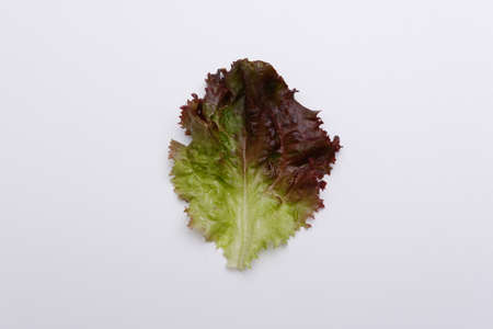 Salad leaf isolated on white background. View from above