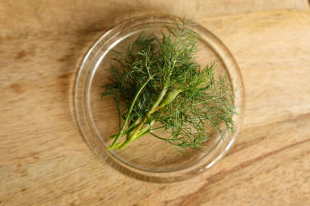 dill in a glass plate on a wooden board