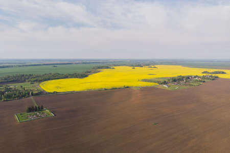 Top view of a flowering and plowed field and forest. Away settlementsの写真素材