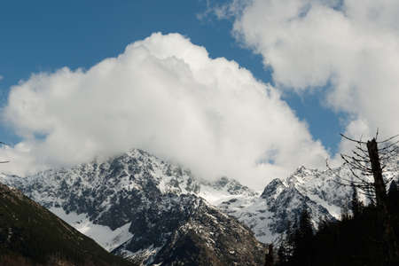 mountain view in national park of Polandの写真素材