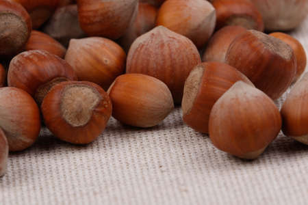 A pile of hazelnuts. Close-up. Macro shotの写真素材