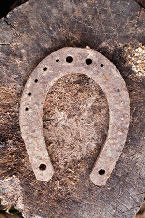 Horseshoe on a wooden log. Close-up. Textureの写真素材