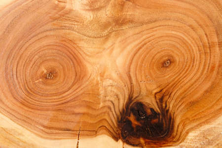 Wood texture. Close-up. Macro shotの写真素材