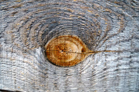 Texture of an old gray wooden board. Macro shot.の写真素材