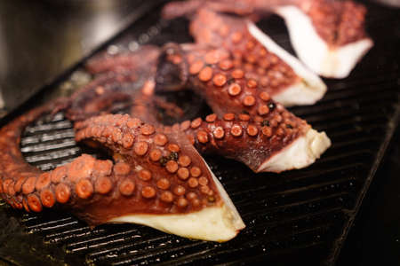 The tentacles of an octopus are grilled. Close-up viewの写真素材