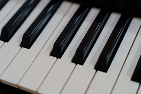 White and black piano keyboard keys. Close-upの写真素材