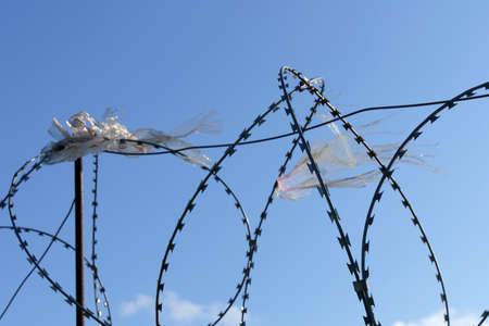 Barbed wire with a torn packet against a blue skyの写真素材