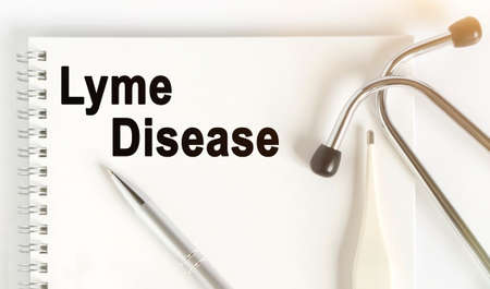 On the table are a stethoscope, a thermometer, a pen and a notebook with the inscription -Lyme Disease. The concept of medicine.の写真素材