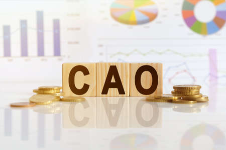 Chief Accounting Officer. CAO the word on wooden cubes, cubes stand on a reflective surface, in the background is a business diagram. Business and finance conceptの写真素材