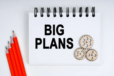 Business and finance concept. On a white background, there are red pencils, gears and a notebook...