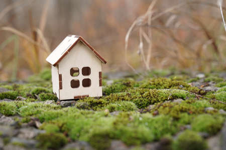 Environmental concept. Wooden house on green moss and gravel.の写真素材