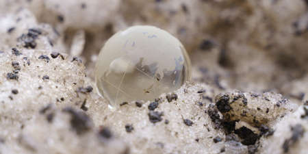The glass ball lies on a dirty snowdrift nearby. Ecology concept.の写真素材