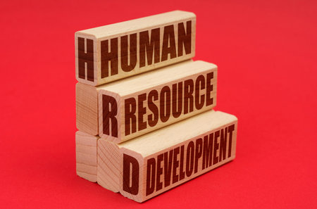 Business and economy concept. On a red background, wooden blocks with the inscription - Human resource developmentの写真素材