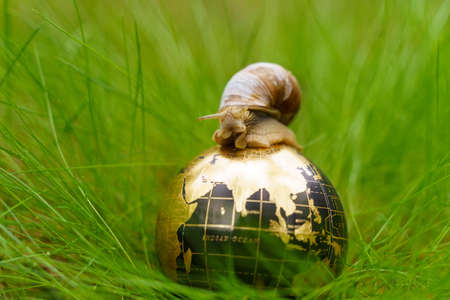ecological concept. In the grass there is a globe on which the snail moves.
