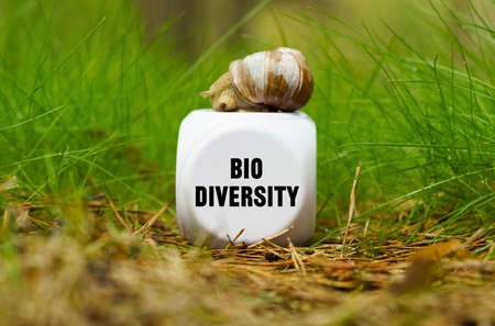 ecological concept. On the green grass there is a white cube with a snail, on the cube there is an...