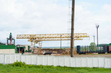 industrial concept. A crane unloads logs at a woodworking plant.