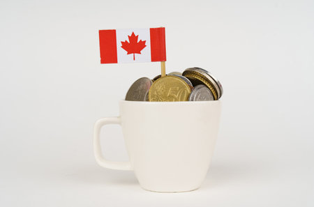 The flag of Canada sticks out of a cup with coins. Economy and business concept.