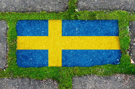 ecological concept. On the sidewalk in green moss, paving slabs with the image of the flag of Sweden.の写真素材