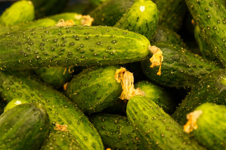 Showcase with cucumbers. Food market, close-up.