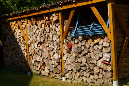 Wall of dry chopped firewood. Preparing for the heating season.の写真素材