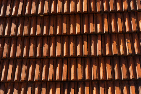 Orange texture of roof tiles in the rays of the setting sun. Texture and backgrounds.
