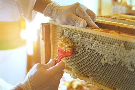 The beekeeper uses a special fork to print honeycombs. Close-up. Beekeeping.