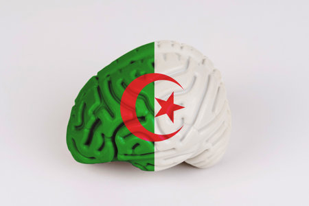 On a white background, a model of the brain with a picture of a flag - Algeria. Close-upの写真素材
