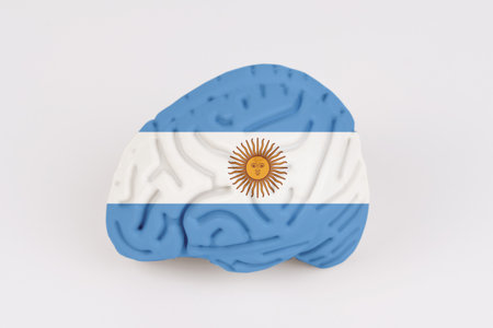 On a white background, a model of the brain with a picture of a flag - Argentina. Close-upの写真素材