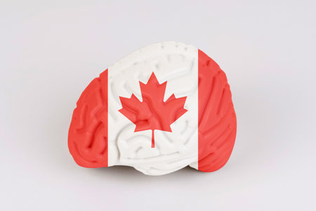 On a white background, a model of the brain with a picture of a flag - Canada. Close-up