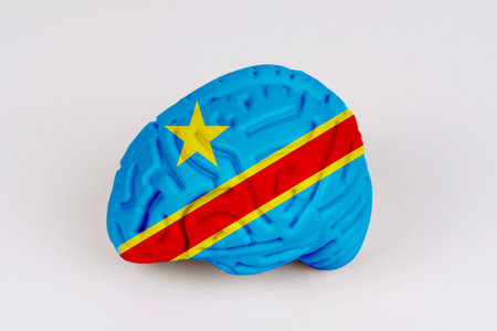 On a white background, a model of the brain with a picture of a flag - Congo. Close-upの写真素材