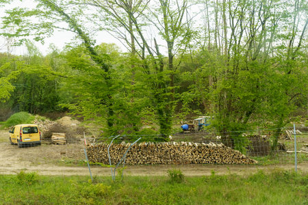 The scene shows a rural woodworking installation with neatly stacked stacks of firewood, heavy...